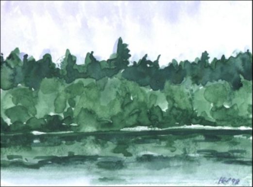 Waldlandschaft mit grünen Bäumen und ruhigem Wasser im Vordergrund.