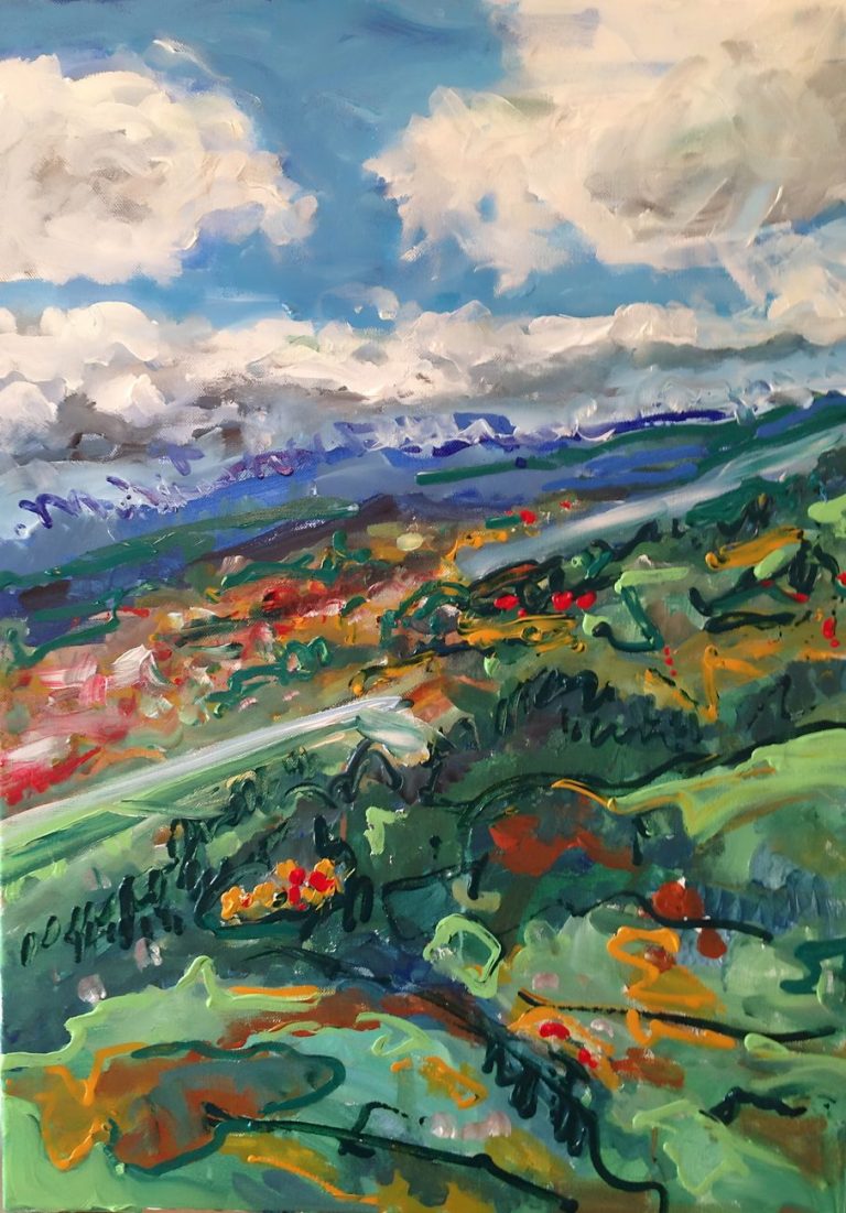 Landeanflug Farbenfrohe Landschaft mit Bergen und Wolken, blühenden Feldern und einem blauen Himmel.