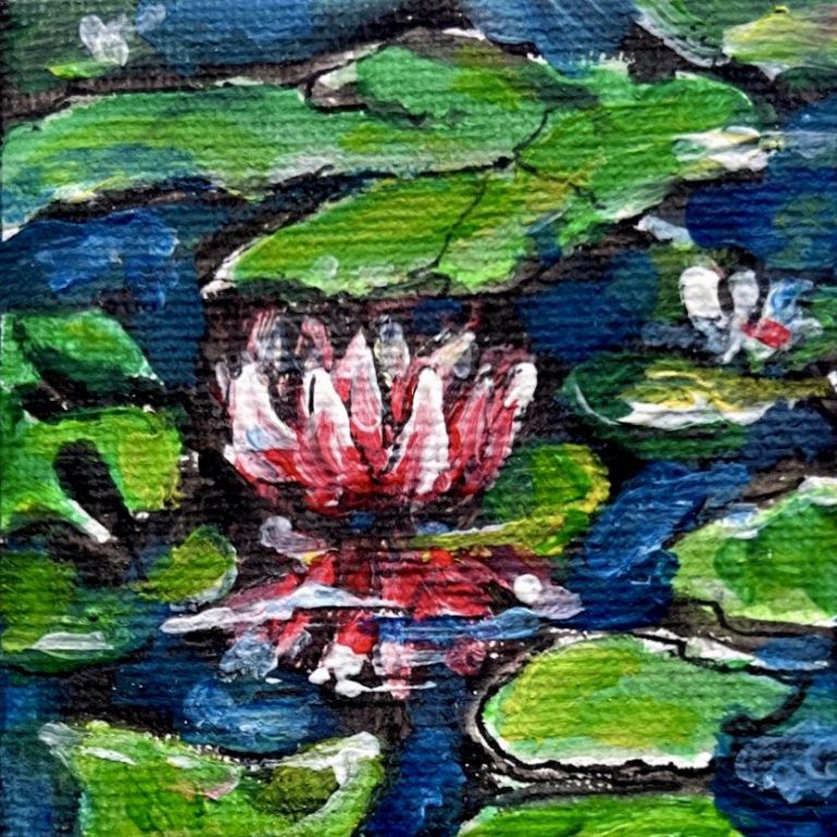 Rote Seerose umgeben von grünen Wasserpflanzen auf blauem Wasser.