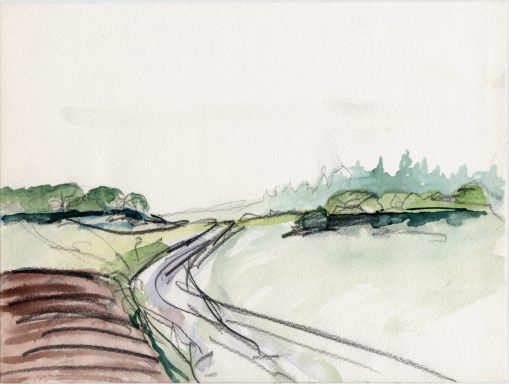 Landschaft mit sanften Hügeln, einer kurvigen Straße und frischen Grün- und Brauntönen.