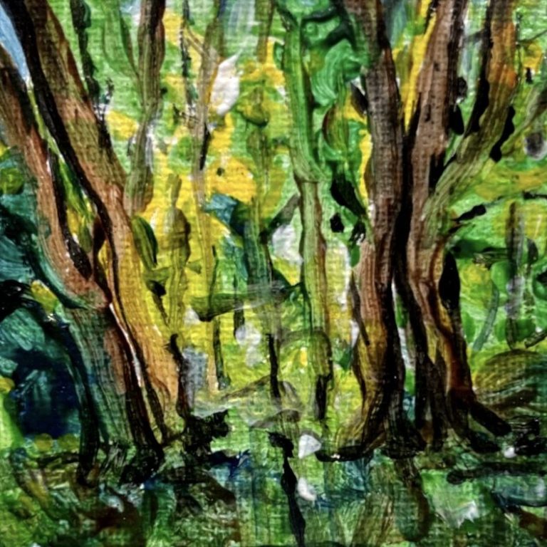 Dichte, grüne Waldlandschaft mit mehreren breiten Baumstämmen im Vordergrund.