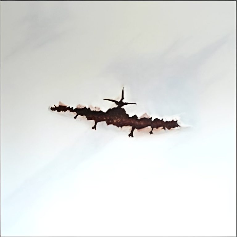Bitte nicht Ein Flugzeug fliegt durch die Leinwand.