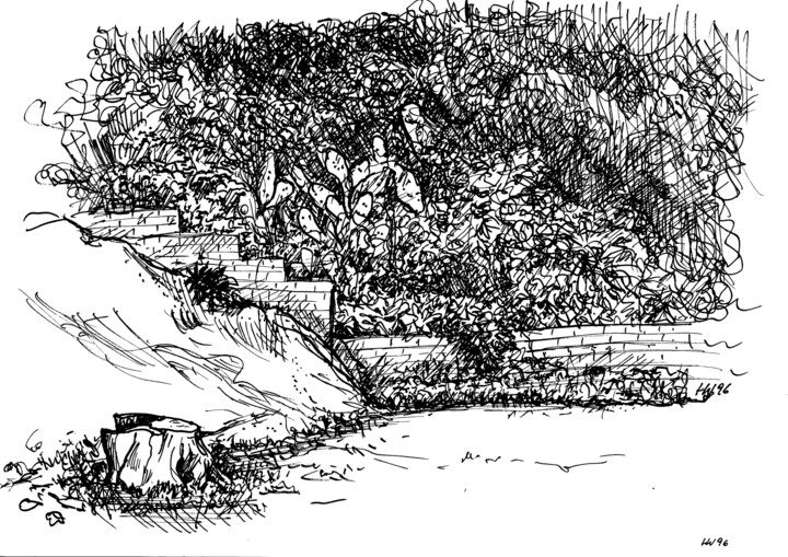 Cape Town Garden Szene mit einer bewaldeten Umgebung, Stufen und einem Baumstumpf im Vordergrund.