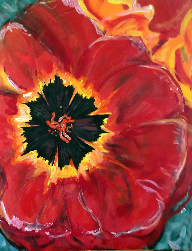 Roter Mohn mit einem dunklen Zentrum und orangefarbenen Akzenten im Hintergrund.