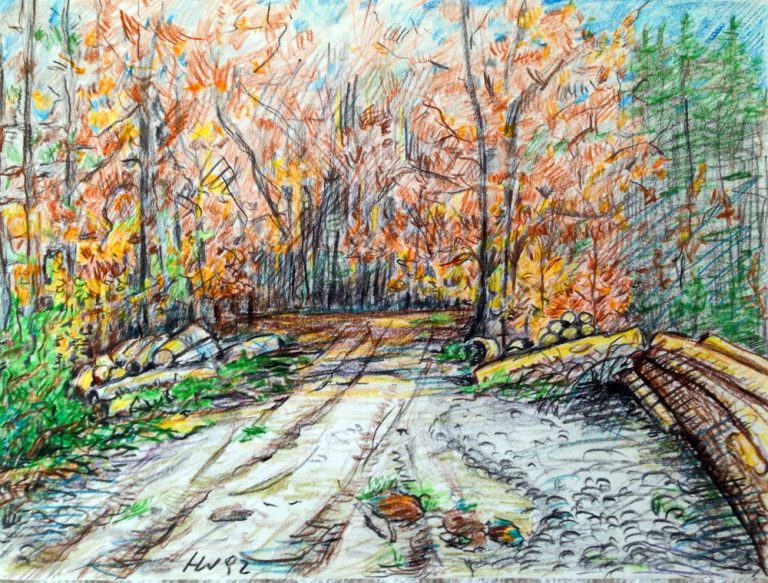 Landschaft mit herbstlichen Bäumen und einem Kiesweg zwischen Bäumen. Farbstiftzeichnung von Herbert Wiedergut.