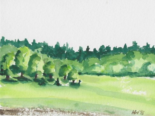Canada 07 Landschaft mit grünen Wiesen und Bäumen im Hintergrund, sanfte Hügelzeichnungen.