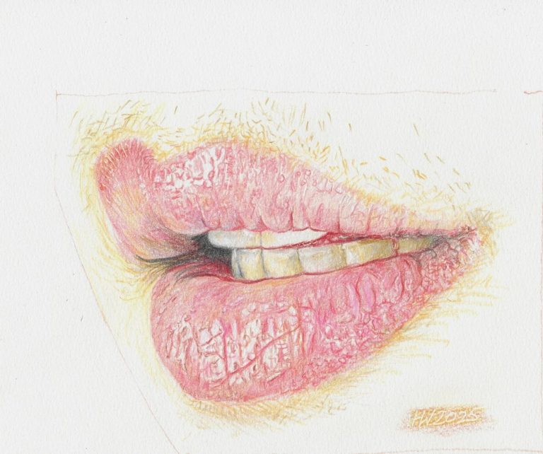 Mund Nahaufnahme eines leicht geöffneten Mundes mit sichtbaren Lippen und Zähnen. Zeichnung von Herbert Wiedergut.