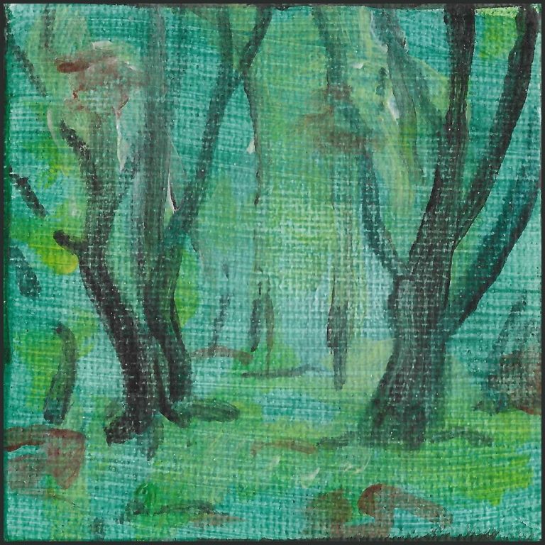 Dichter, grüner Wald mit Bäumen und sanften Lichtspielen.