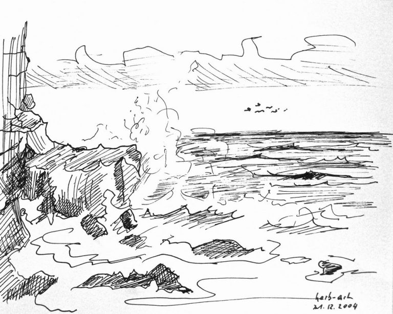 Wilde Küstenlandschaft mit Wellen und Felsen, unter einem bewölkten Himmel. Das Kap der Guten Hoffnung.