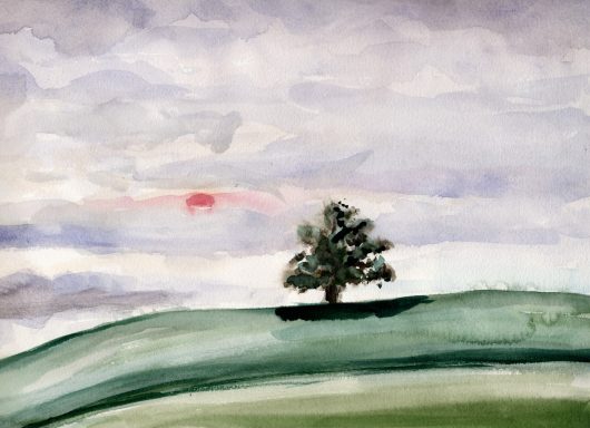 Ein einsames Baum auf einem sanften Hügel vor einem bewölkten Himmel und einem roten Sonnenuntergang.
