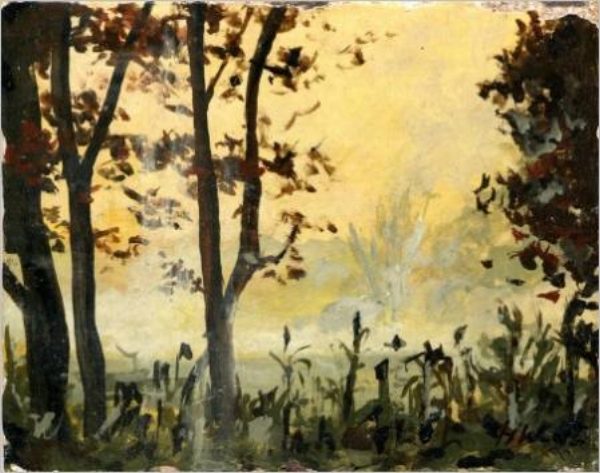 Fog Herbstlandschaft mit Bäumen, Nebel und sanftem Licht im Hintergrund.