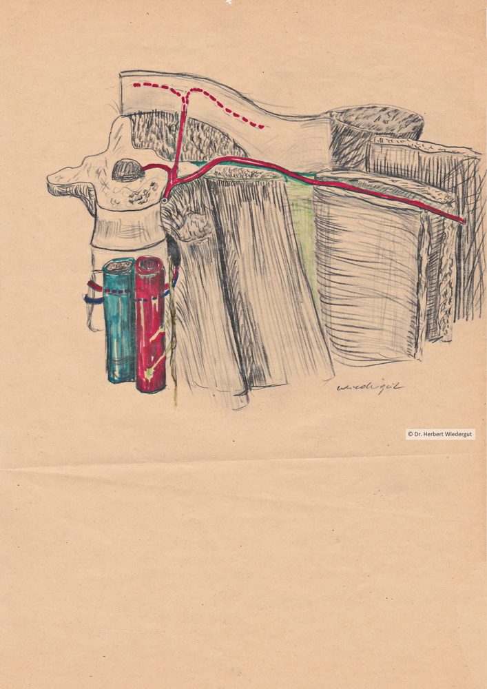 Regio lumbalis. Anatomische Skizze von Herbert Wiedergut.