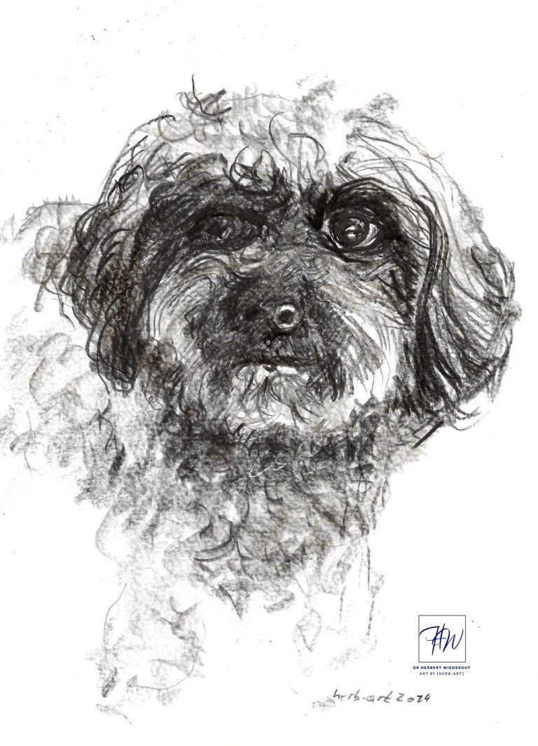 Hundeportrait Schwarz-weiße Zeichnung eines Hundes mit flauschigem Fell und neugierigem Gesichtsausdruck.