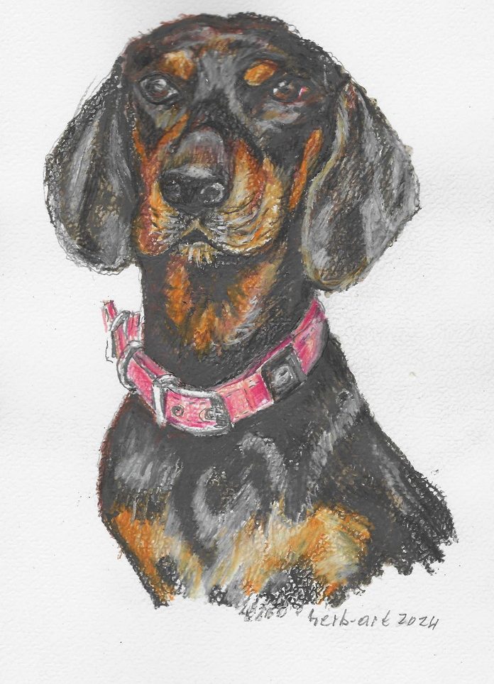 Hundeportrait Schwarzbrauner Hund mit rosa Halsband, kunstvoll gezeichnet.