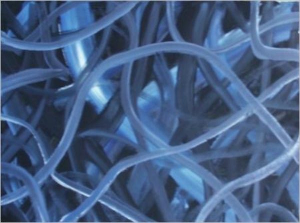 Stromschnellen Komplexes Netzwerk aus leuchtenden blauen Lichtpunkten und Linien, das ein energetisches Mikrosystem bildet